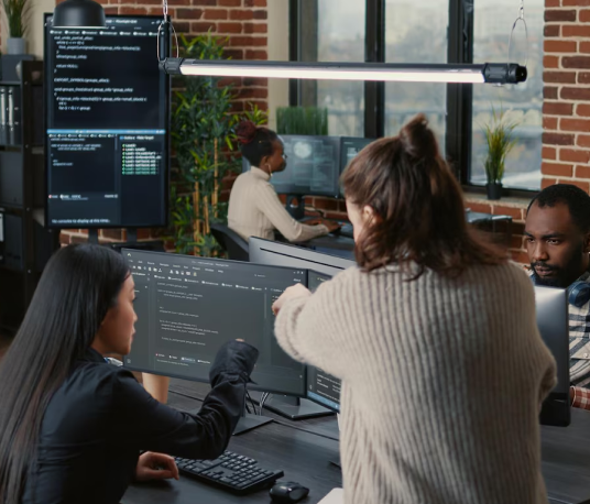 developers meet and looking for solutions