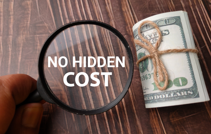 no hidden cost on hiring developer